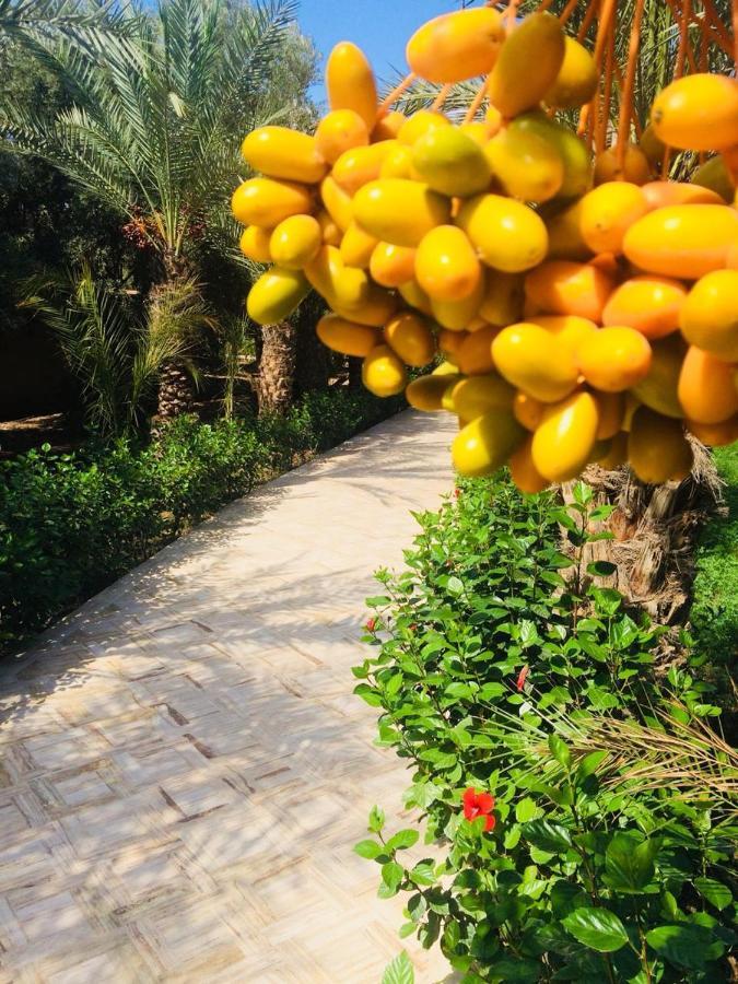 Riad Le Jasmin Tarudant Kültér fotó