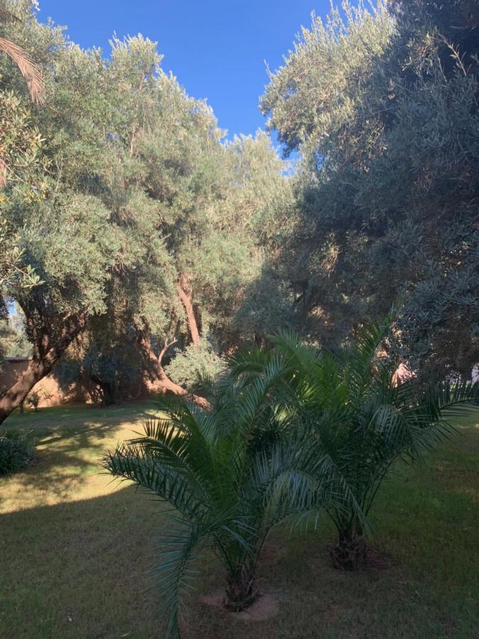 Riad Le Jasmin Tarudant Kültér fotó