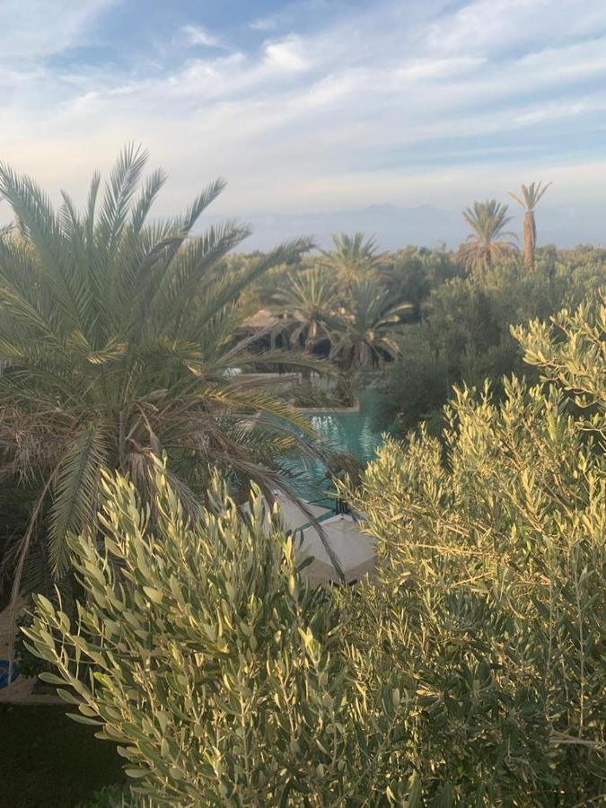 Riad Le Jasmin Tarudant Kültér fotó