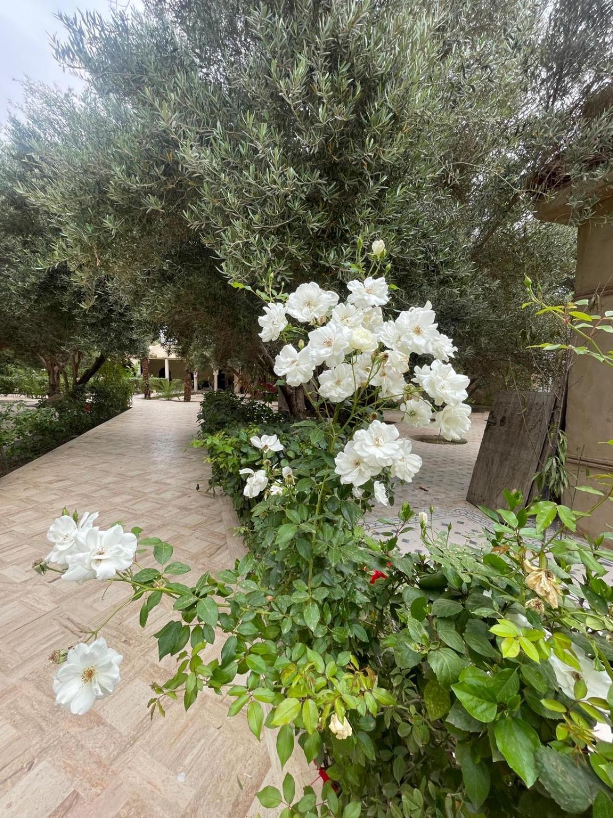 Riad Le Jasmin Tarudant Kültér fotó