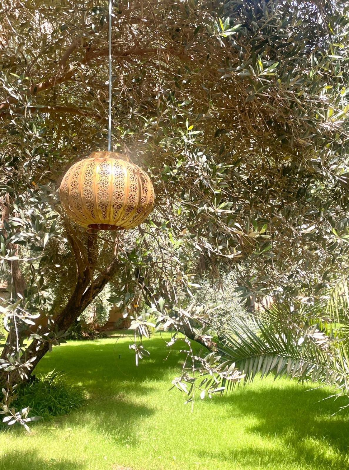 Riad Le Jasmin Tarudant Kültér fotó