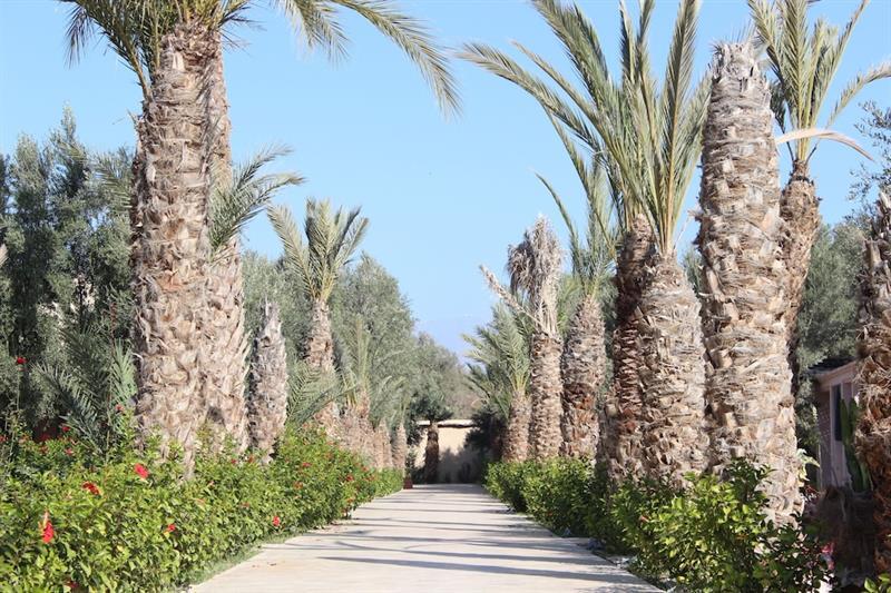 Riad Le Jasmin Tarudant Kültér fotó